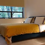 Loft 19