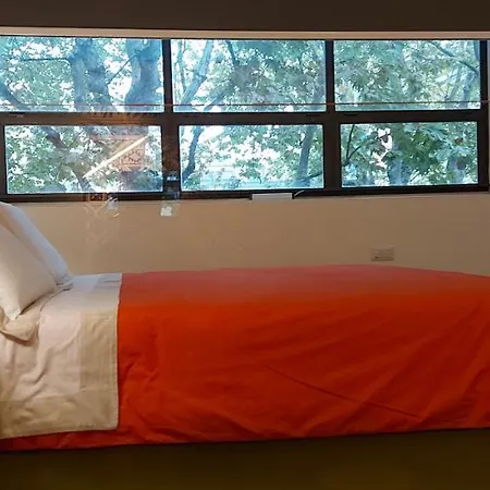 Bed & Breakfast Loft 19 Turin